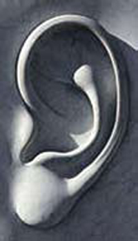 ear