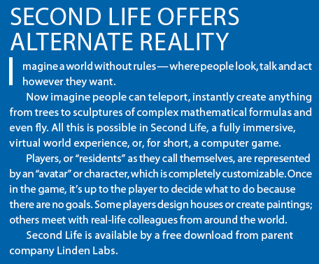 Second Life Synopsis