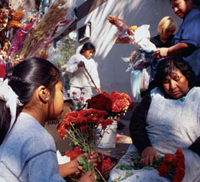 Flower sellers in Argentina