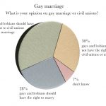 pie graph of gay marriage