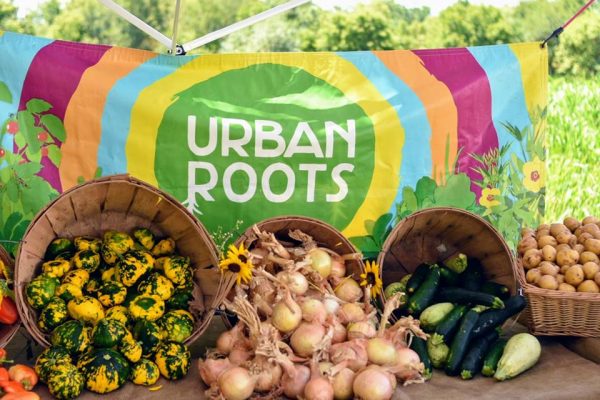 Austin Plants Urban Roots Life Letters Magazine