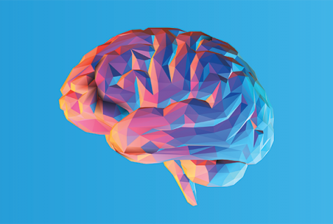 illustration of brain in pink, red and blue.