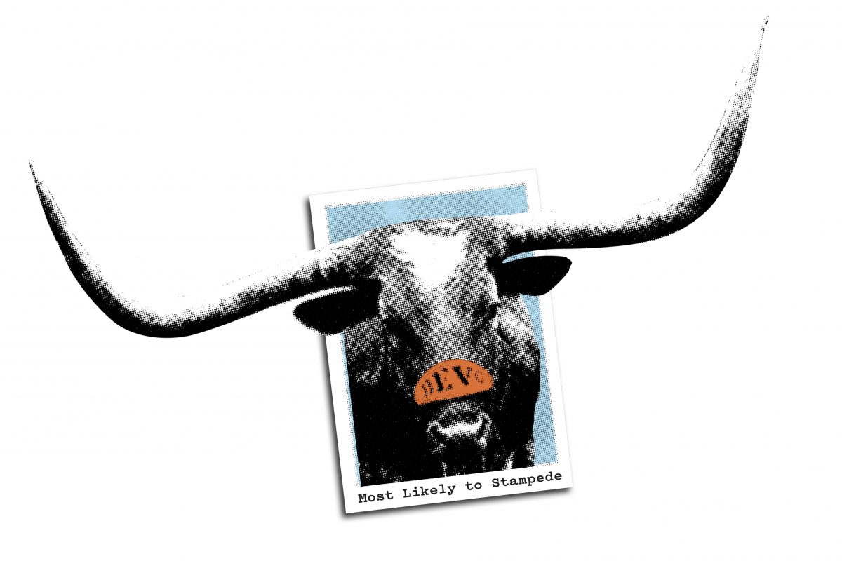 Illustration of a high school yearbook picture with Bevo . The caption reads, 