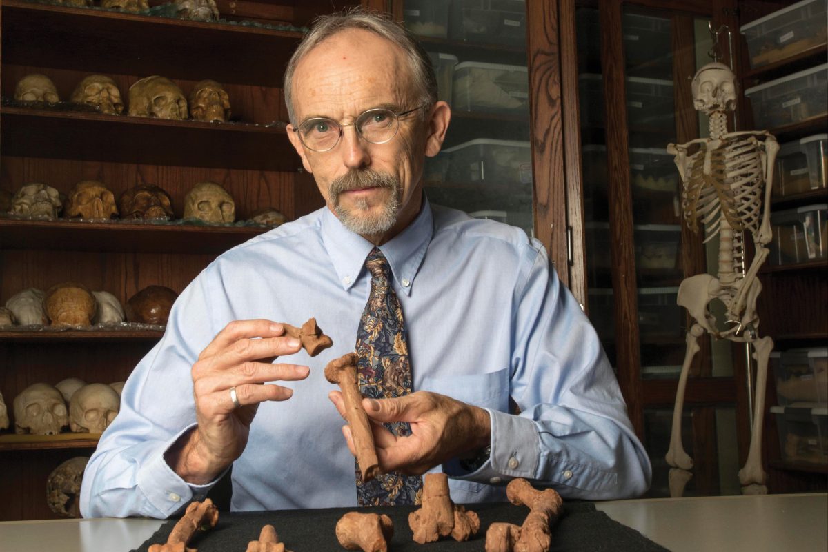 UT Austin professor John Kappelman with 3-D printouts of Lucy’s skeleton, illustrating the compressive fractures in her right humerus that she suffered at the time of her death 3.18 million years ago.