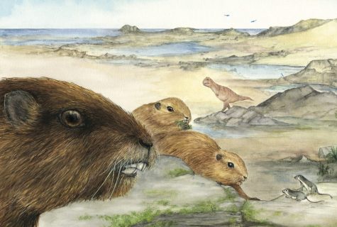 An artist’s rendering of gopher-like mammals in a prehistoric setting.