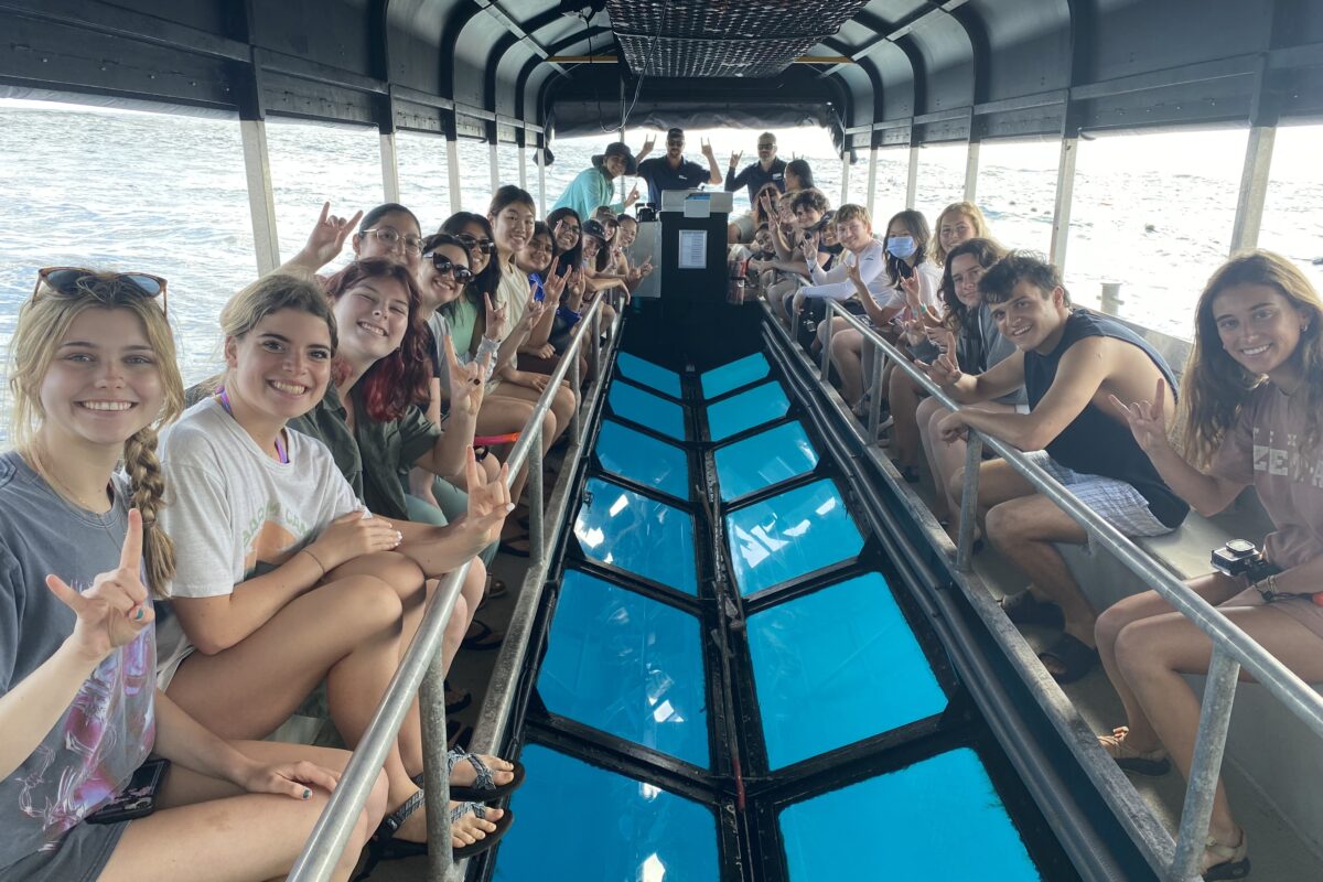 Snorkeling for Solutions