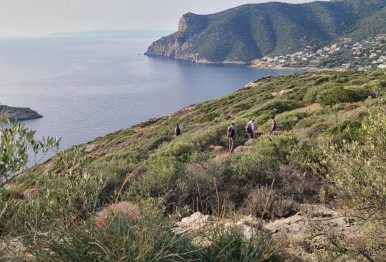 Between Dionysus and Athena